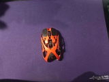 MorganDrak3 review photo