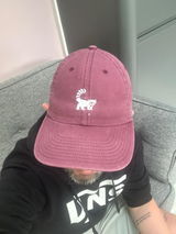 Ryan review photo