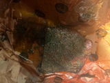 Sting ray review photo