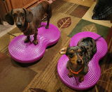 RHONDA HECHSEL review photo