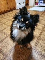 Yvonda Taylor review photo