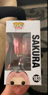 SANDRA review photo