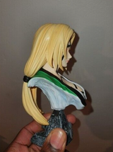 Sawyer review photo