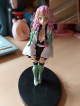 anis review photo