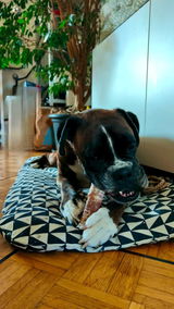 Max review photo