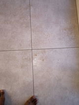 Prabhakar S. review photo