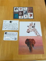 Ceira review photo