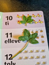 bettina mortensen review photo