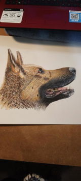 Joyce Batz review photo