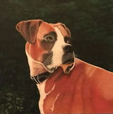 Sandi G. review photo