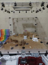 Alejandro M.d.R. review photo