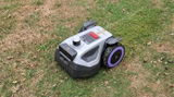Tom review photo