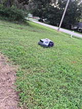 Anonymous review photo