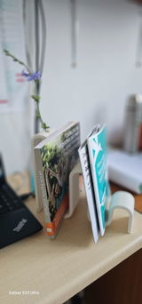 Veronica review photo