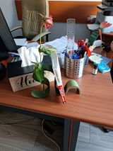 User picture