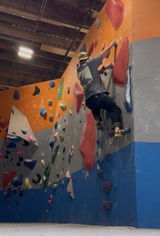 Ansel Noakes review photo