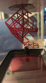 Nolwenn S. review photo