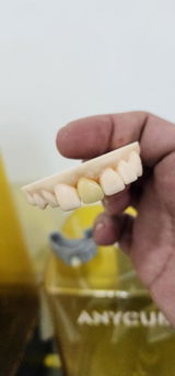Aloi review photo