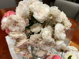 La. Rose lover review photo