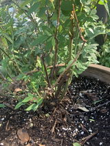 Nancy Byrd review photo