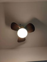 Trevoradams review photo