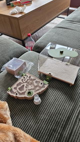 Ann-Marie Schwanewedel review photo