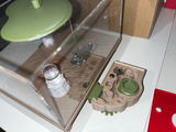 Ludvig Wallgren review photo