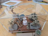 Philip Franke review photo