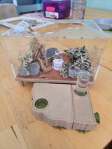 Philip Franke review photo