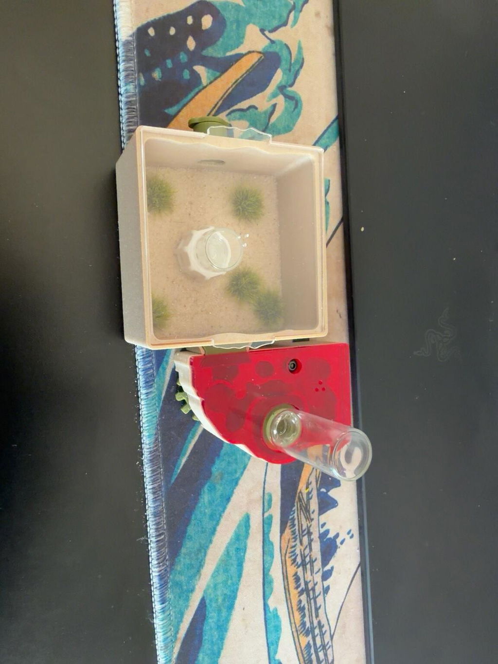 Nest Formicarium (Ant Farm)