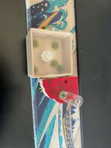 Patricia Christiansen review photo