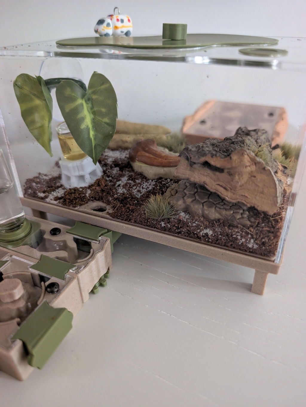 Nest Formicarium (Ant Farm)