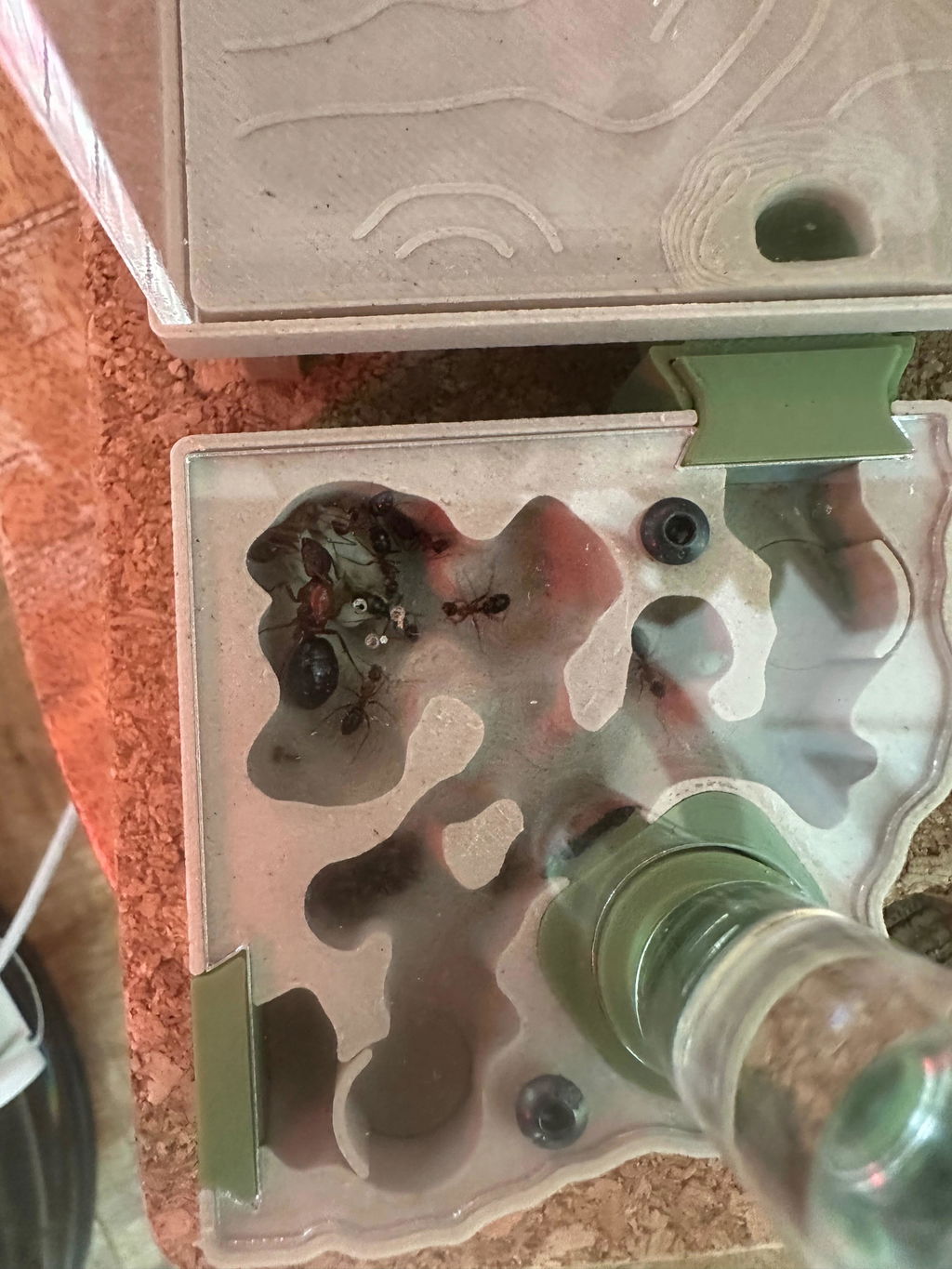 Liquid Feeder Mini (3 ml) byFormica