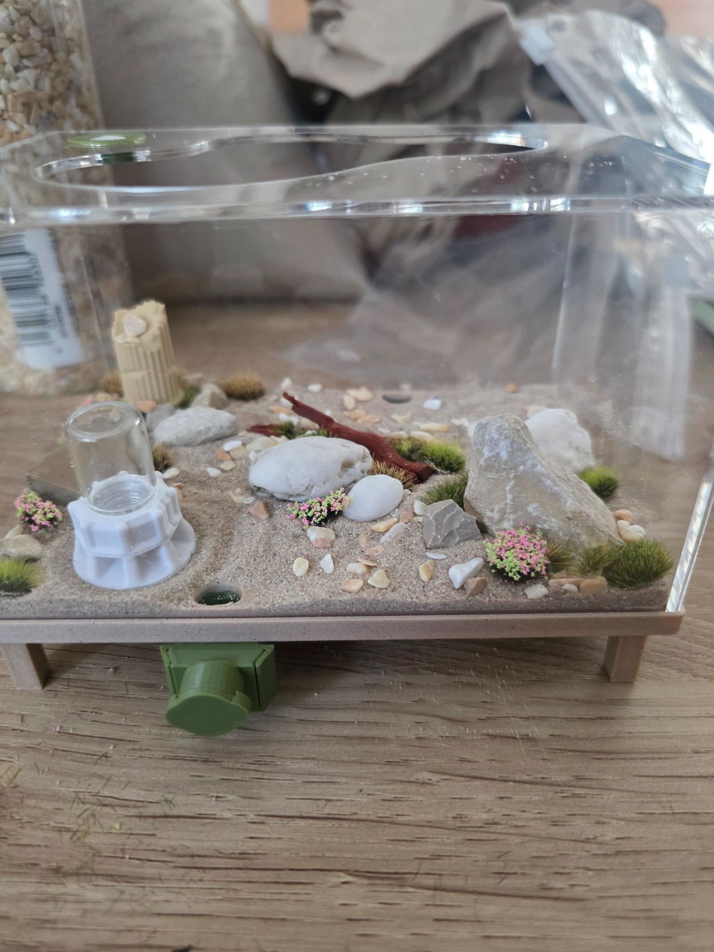 Outworld for Ants