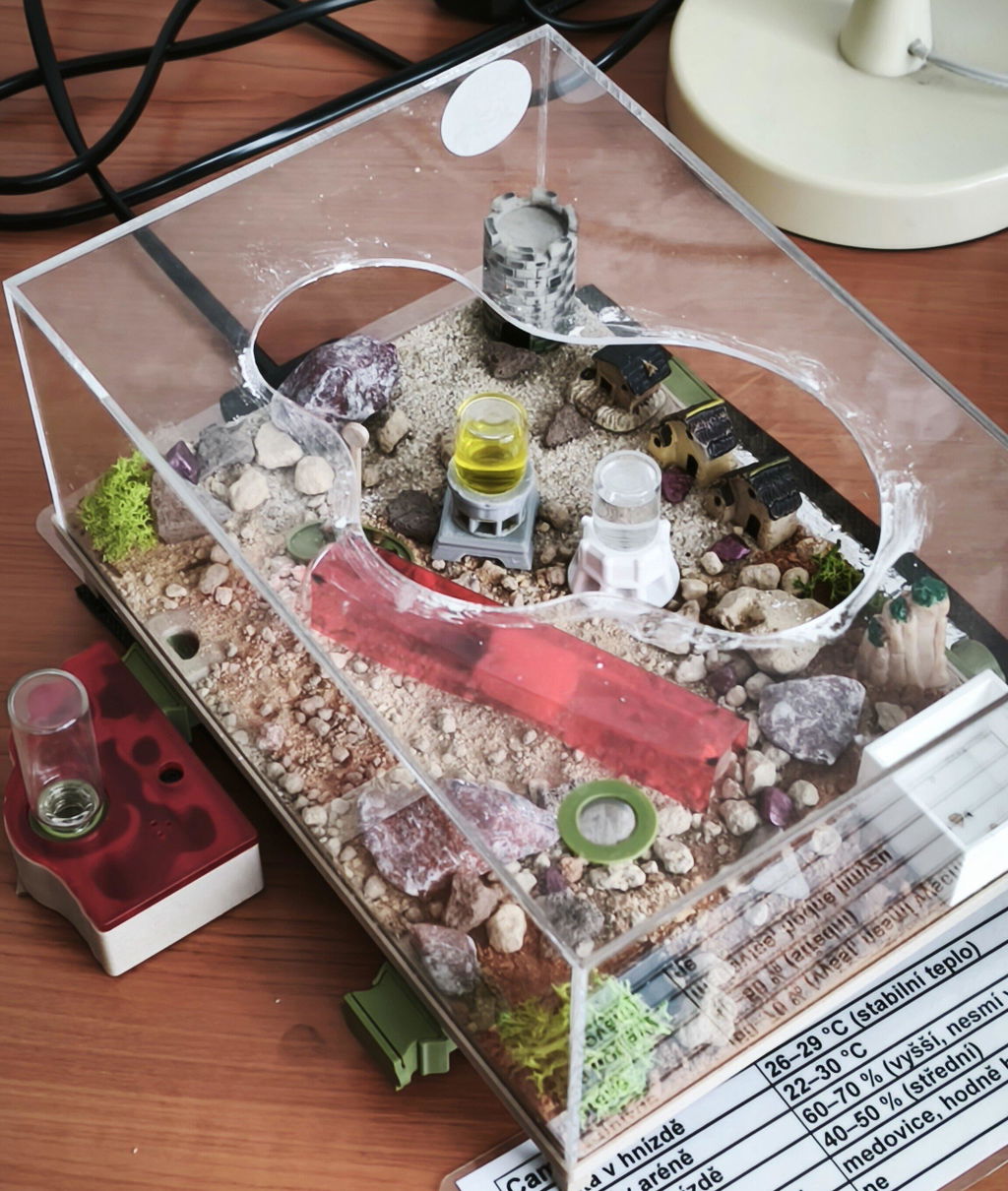Nest Formicarium (Ant Farm)