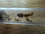 Mariusz review photo