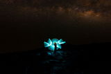 Created by Scroggs review photo