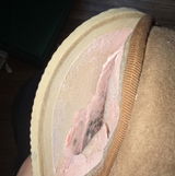 Brandon review photo