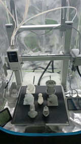R.M. review photo