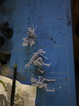 R. review photo