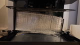 T. review photo