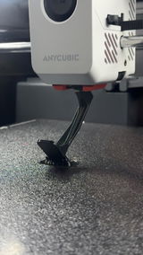 J. review photo