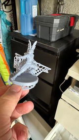 patrick p. review photo