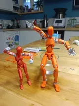 V.L. review photo