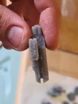 D.B. review photo