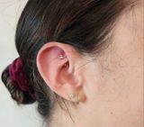 Eveline review photo