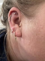 Des review photo