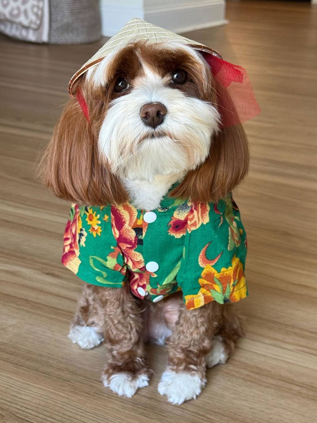Pet Green Vietnamese Floral Retro Pattern Ao Dai 46A