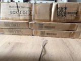 Daniela G. review photo