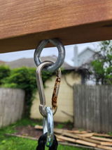 Shaul review photo